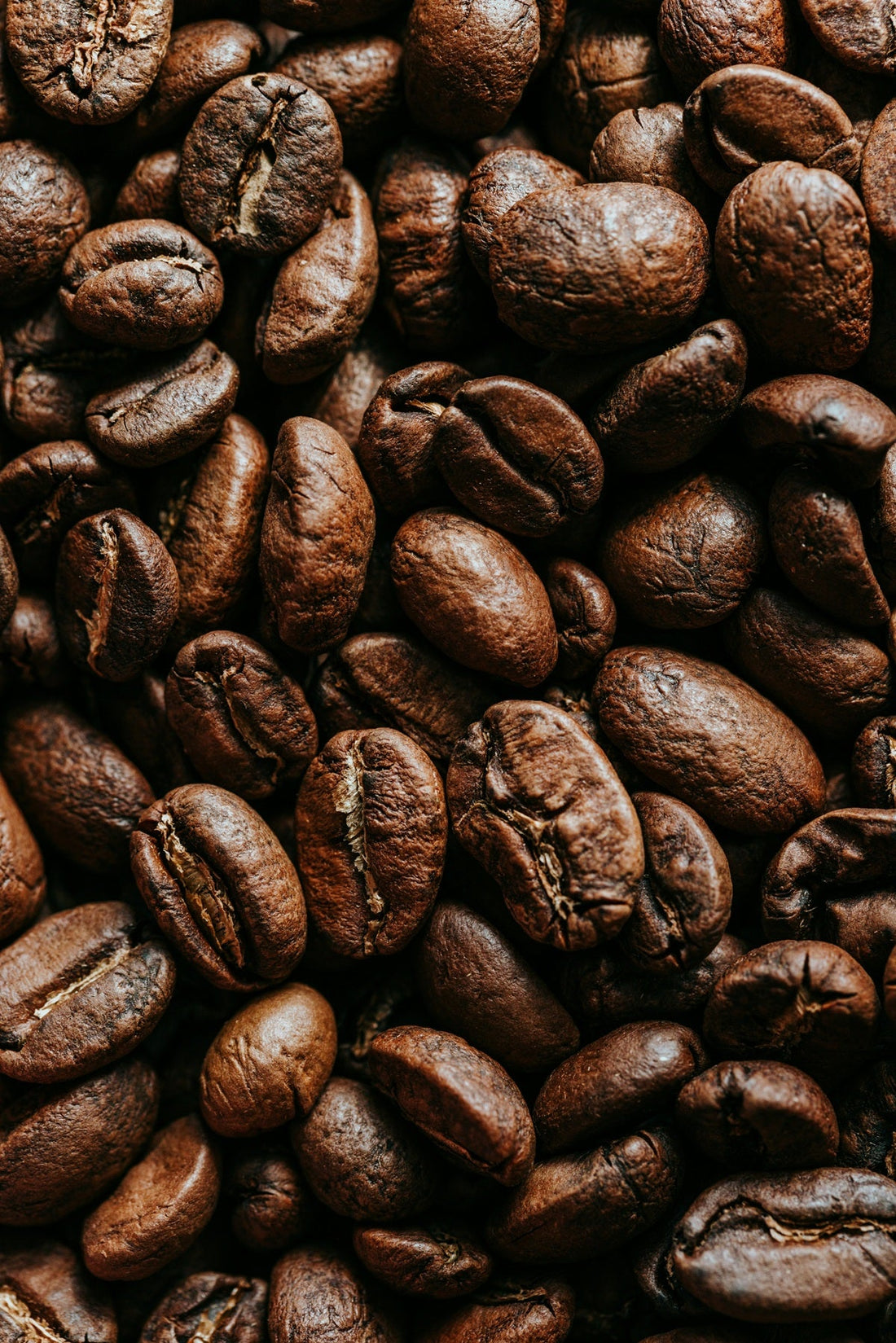 Exploring the Aromatic World of Fresh Roast Coffee