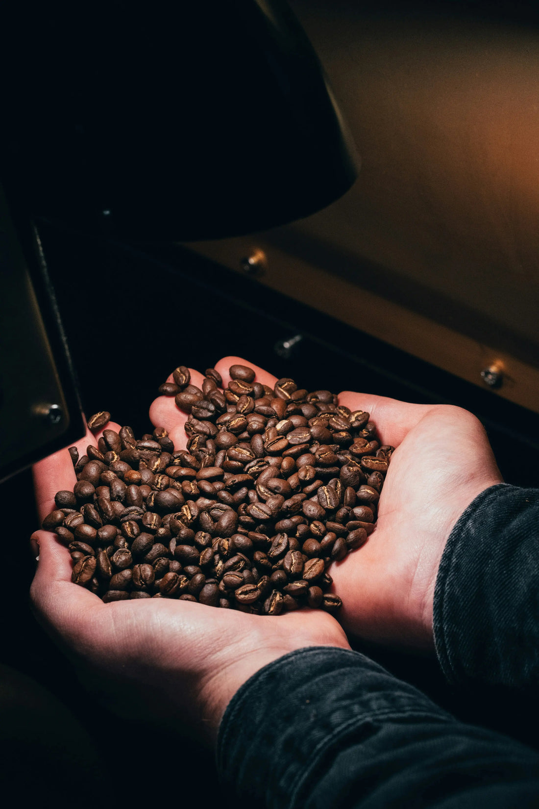 French Roast Coffee: A Bold and Flavorful Journey