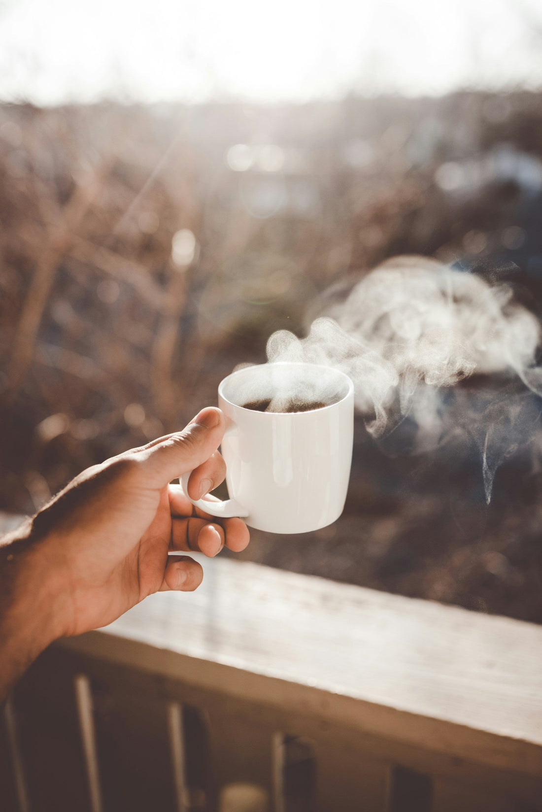 What are 100% arabica coffee beans